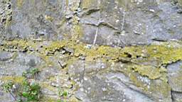 acastle 105710.jpg